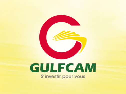 Gulfcam